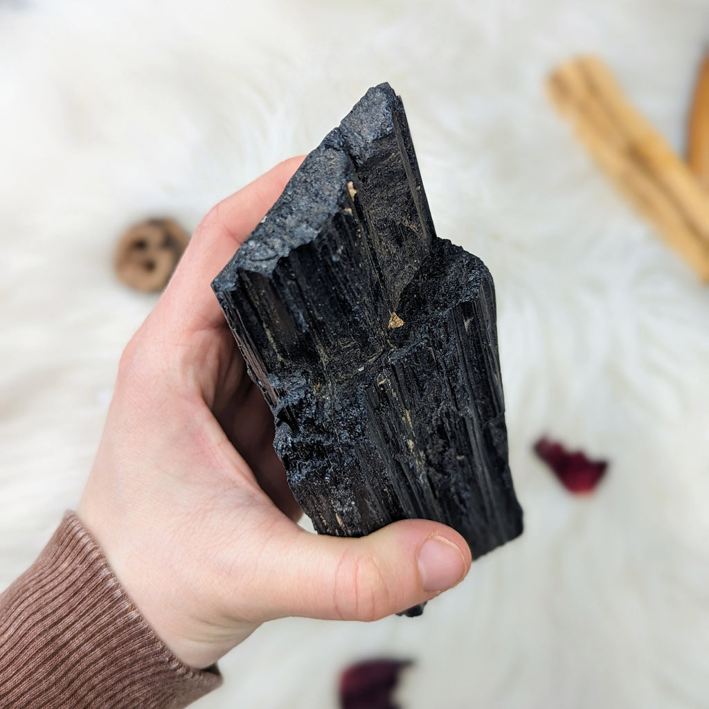 XL Black Tourmaline Display Specimen ~ Protective and Grounding Energy - Earth Family Crystals