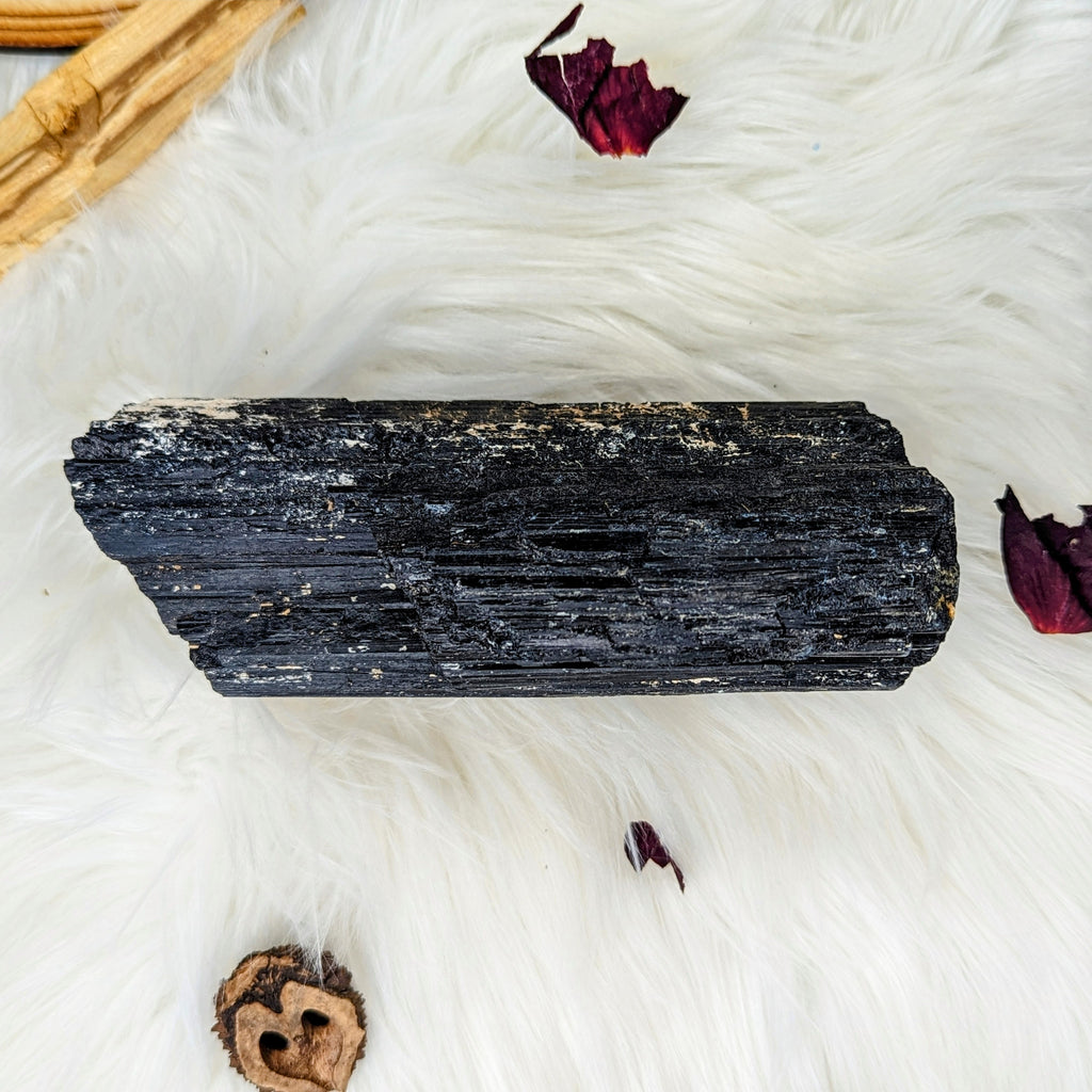 XL Black Tourmaline Display Specimen #2~ Protective and Grounding Energy - Earth Family Crystals