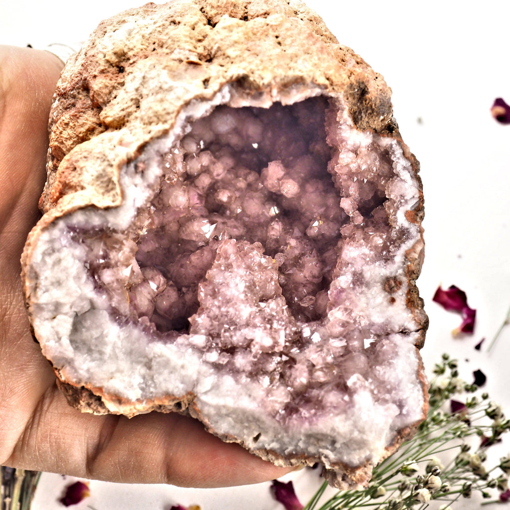 XL Deep Cave Druzy Geode Pink Amethyst Display specimen From Patagonia - Earth Family Crystals