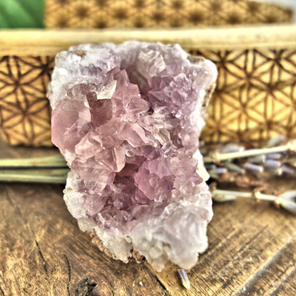 NEW FIND! Small Pink Amethyst Druzy Cluster From Patagonia - Earth Family Crystals