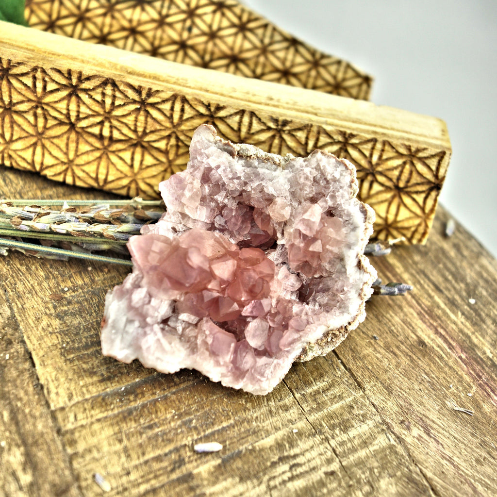 NEW FIND! Lovely  Pink Amethyst Druzy Cluster From Patagonia - Earth Family Crystals