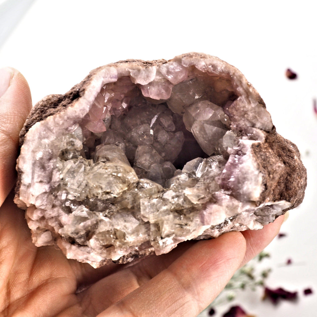 Large Druzy  Pink Amethyst & Clear Calcite Geode Specimen From Patagonia - Earth Family Crystals