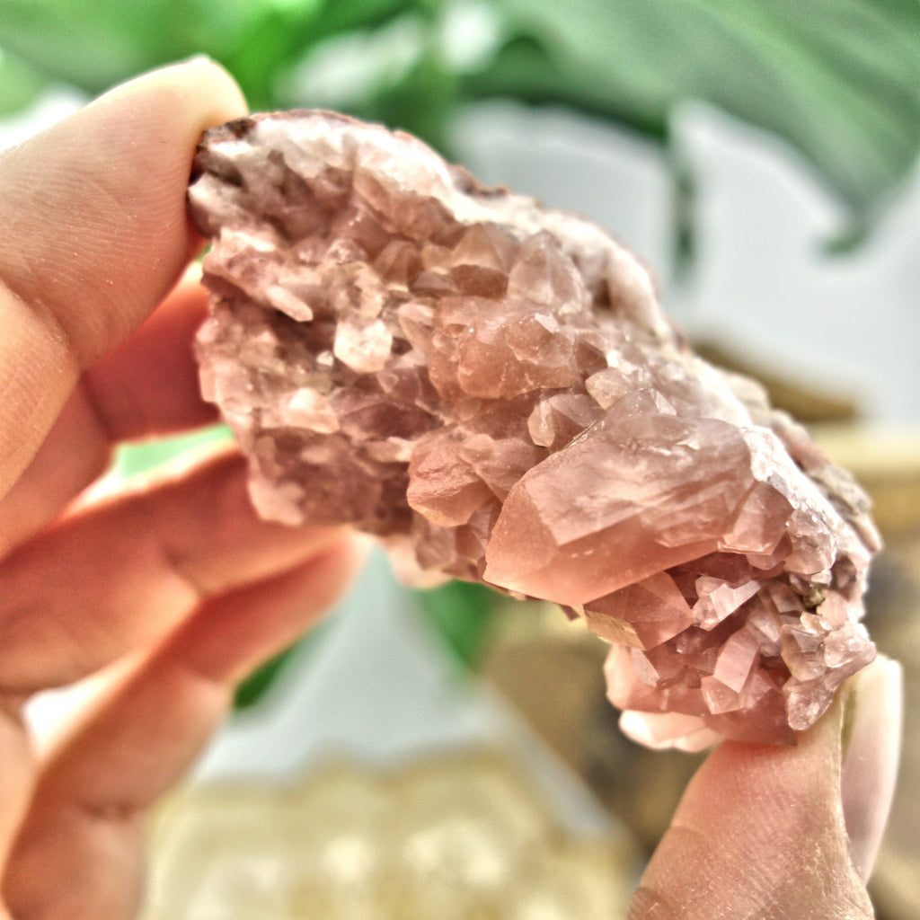NEW FIND! Pretty Pink Amethyst Druzy Cluster From Patagonia - Earth Family Crystals