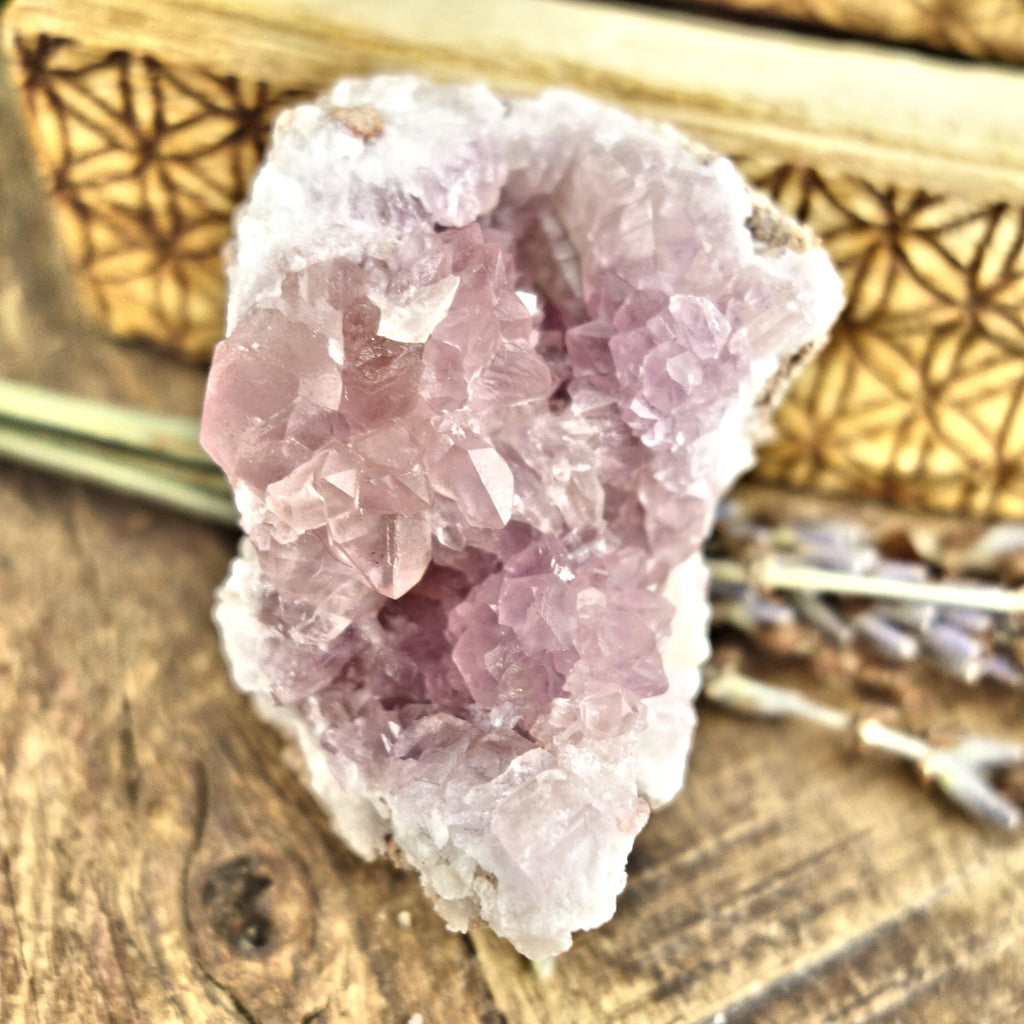 NEW FIND! Small Pink Amethyst Druzy Cluster From Patagonia - Earth Family Crystals