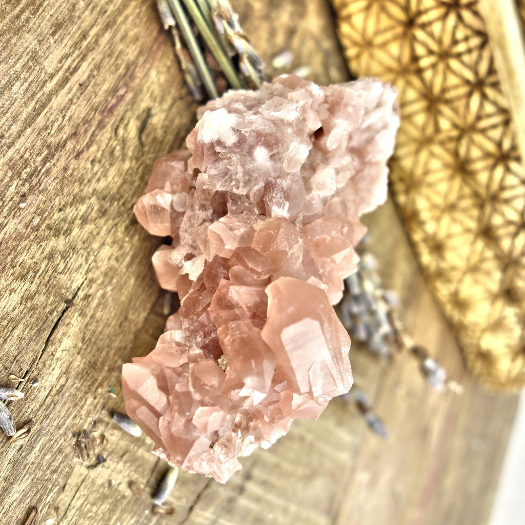 NEW FIND! Pretty Pink Amethyst Druzy Cluster From Patagonia - Earth Family Crystals