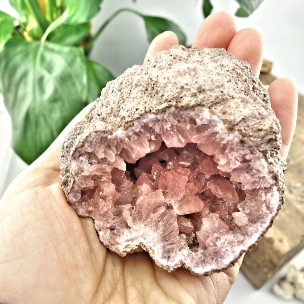 NEW FIND! Gorgeous Large Pink Amethyst Geode Cluster From Patagonia - Earth Family Crystals