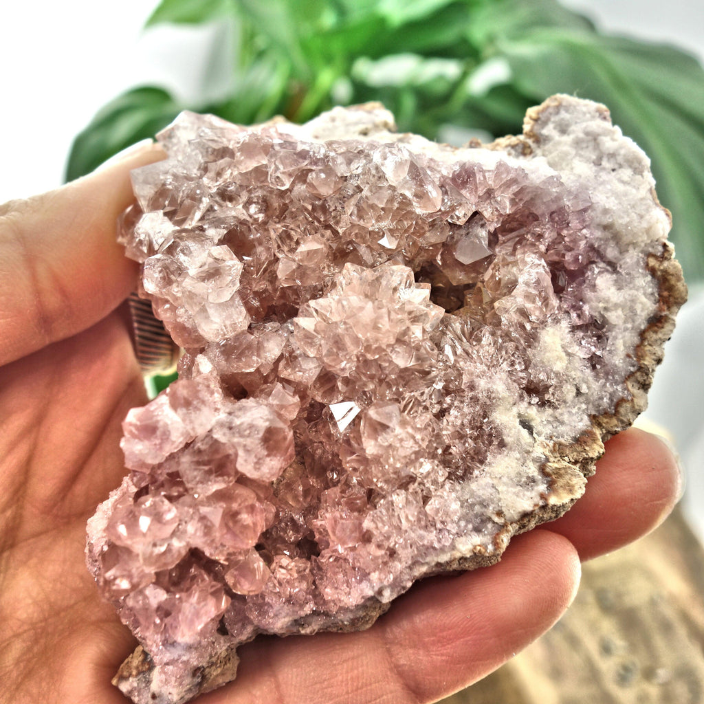 NEW FIND! Large Pretty Druzy Pink Amethyst  Cluster From Patagonia - Earth Family Crystals