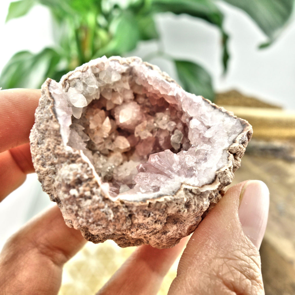 NEW FIND! Unique Pink Amethyst & Clear Calcite Druzy Geode Cluster From Patagonia - Earth Family Crystals