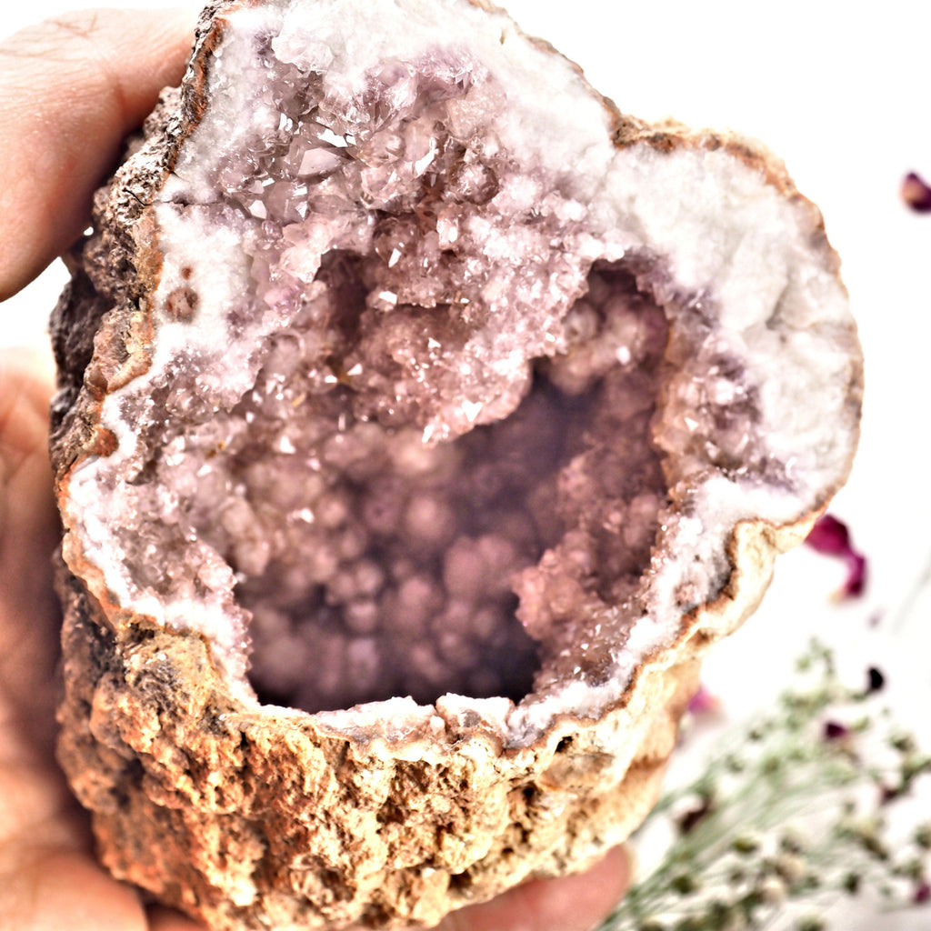 XL Deep Cave Druzy Geode Pink Amethyst Display specimen From Patagonia - Earth Family Crystals