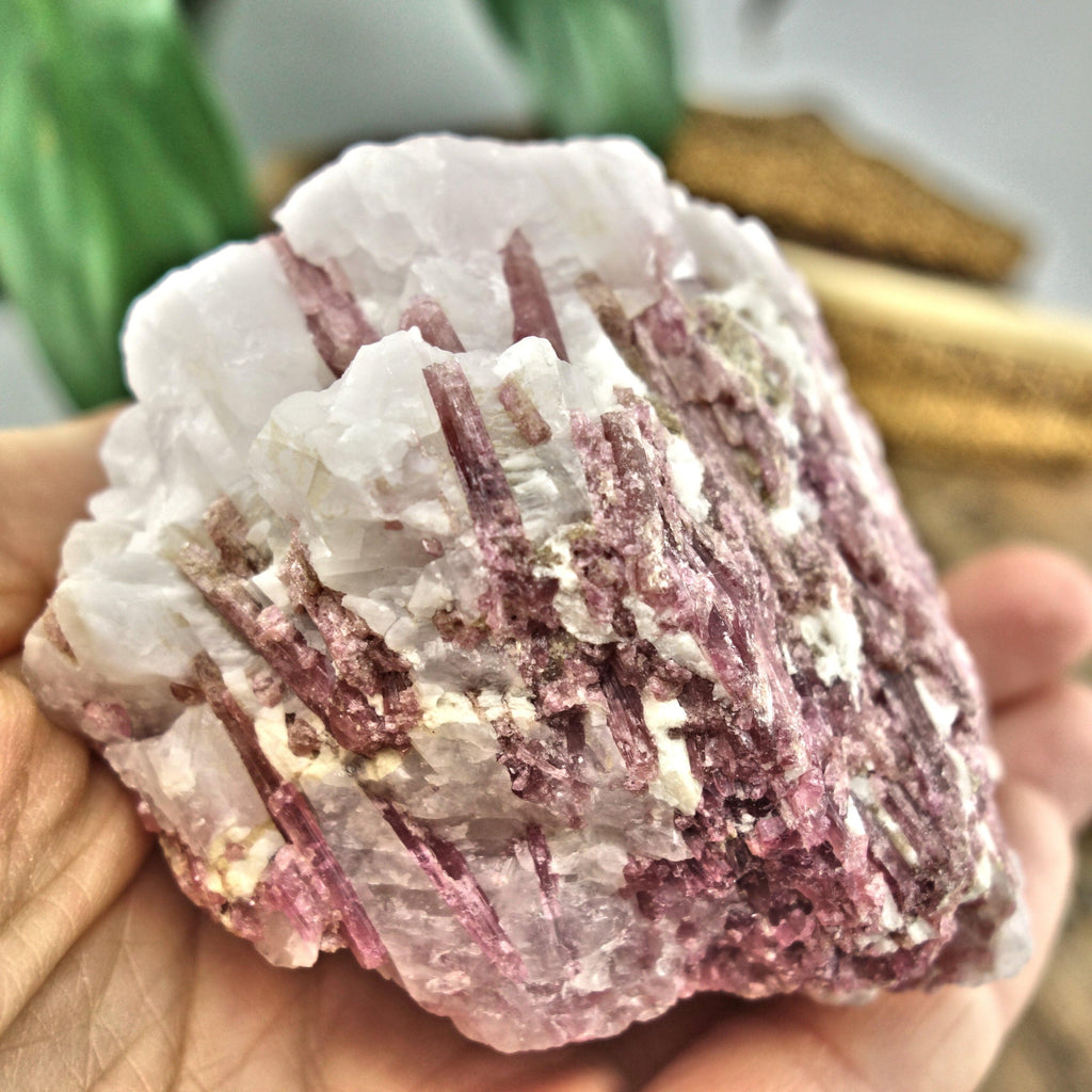 Large Pink Tourmaline Blades Nestled in Creamy Quartz Matrix From Brazil - Earth Family Crystals