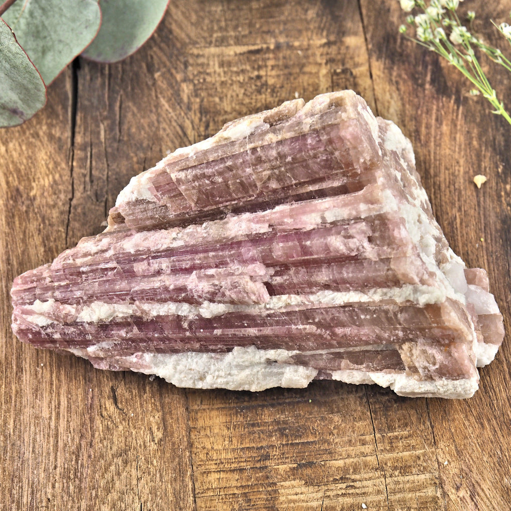 Gorgeous Large Pink Tourmaline Blades Nestled in Milky Quartz From Brazil - Earth Family Crystals