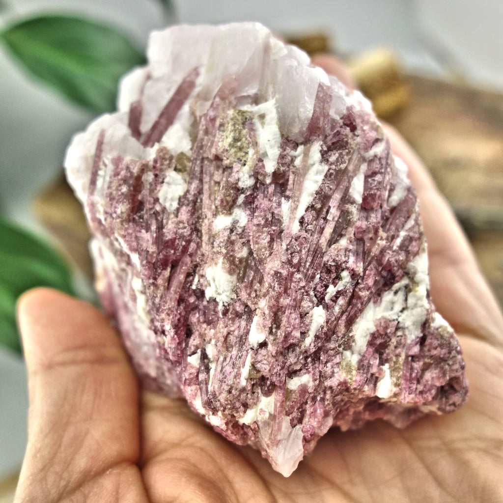 Large Pink Tourmaline Blades Nestled in Creamy Quartz Matrix From Brazil - Earth Family Crystals