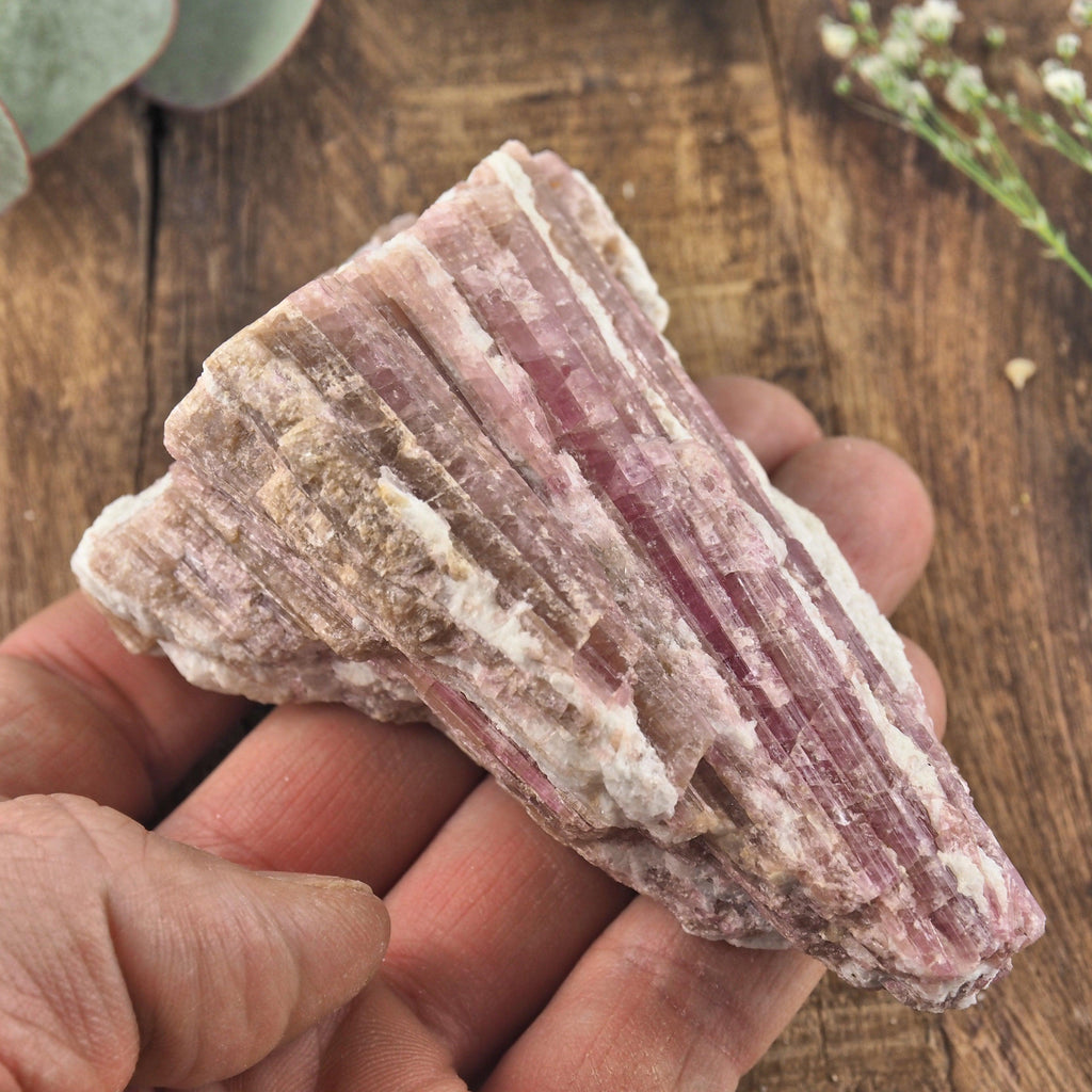 Gorgeous Large Pink Tourmaline Blades Nestled in Milky Quartz From Brazil - Earth Family Crystals