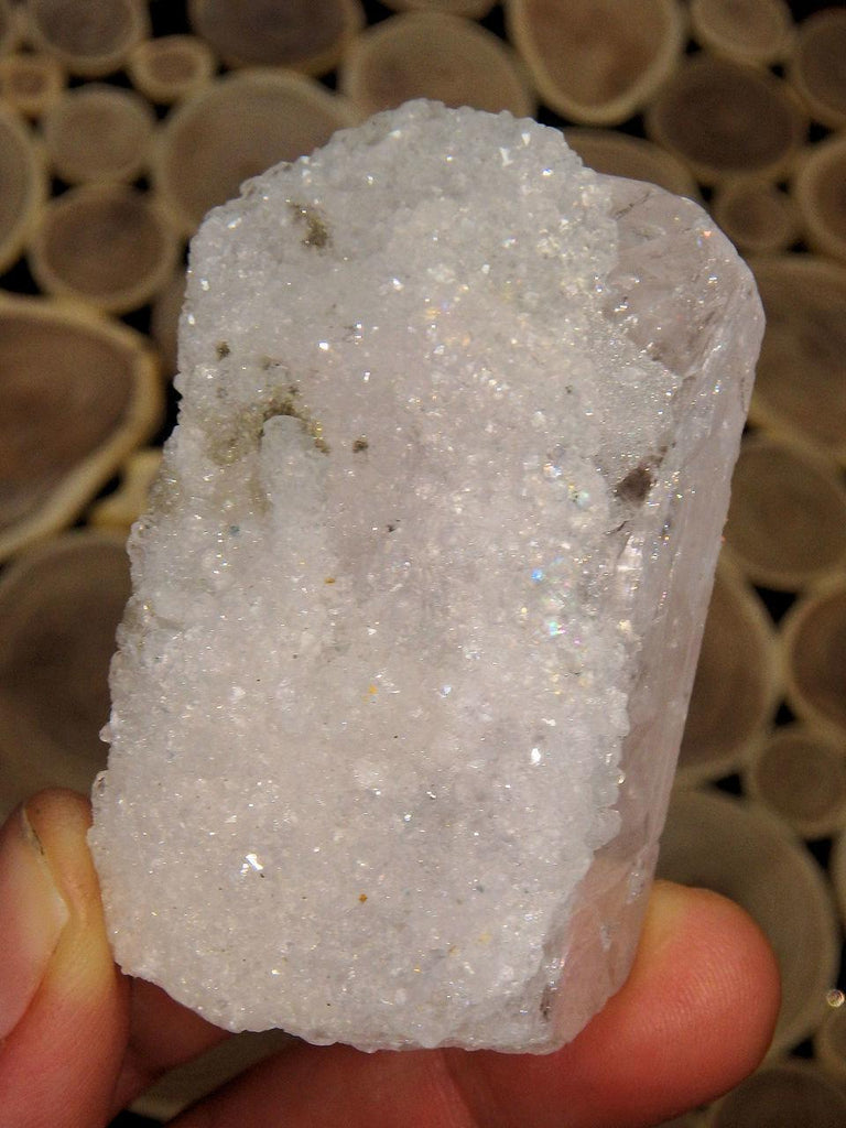 Incredible One of a Kind Sparkling Druzy Crusted Slightly Pink Danburite Point from Mexico - Earth Family Crystals