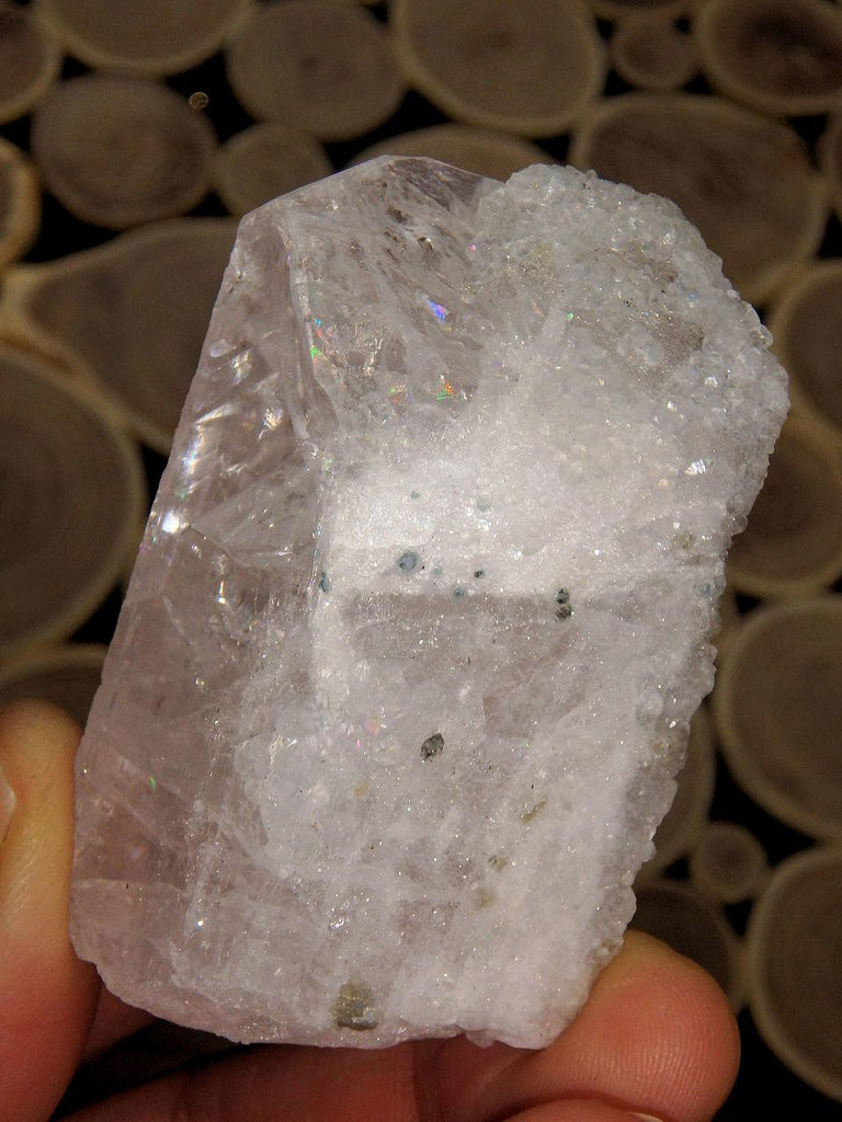 Incredible One of a Kind Sparkling Druzy Crusted Slightly Pink Danburite Point from Mexico - Earth Family Crystals