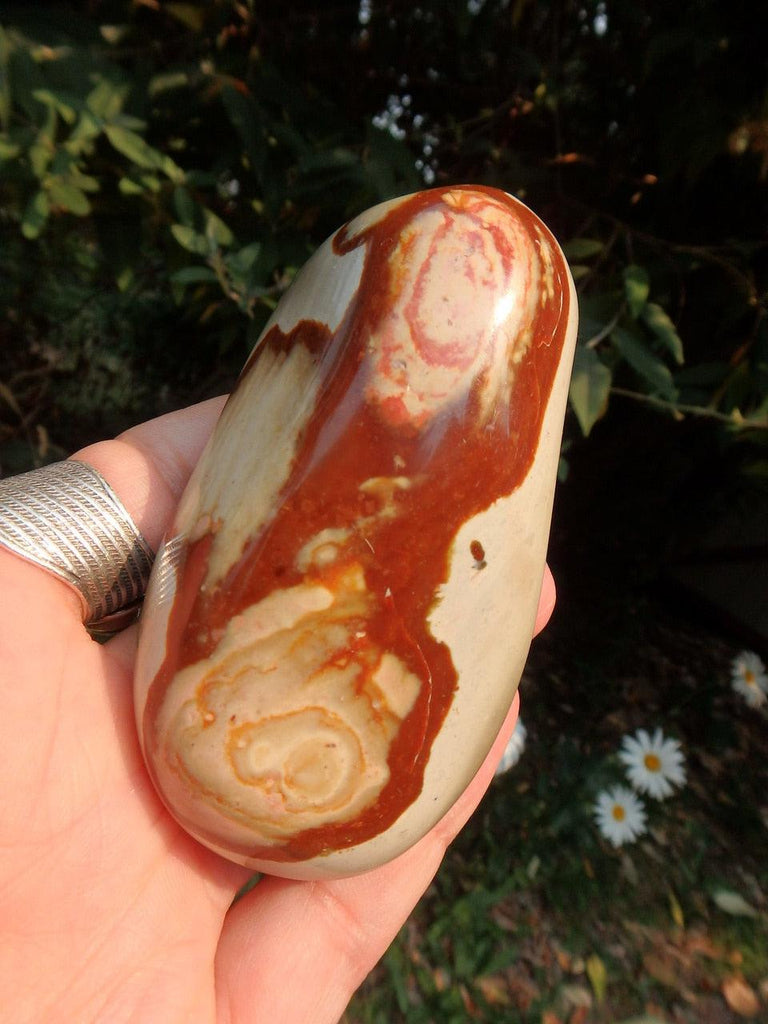 Splatters of Color Polychrome Jasper Free Form - Earth Family Crystals