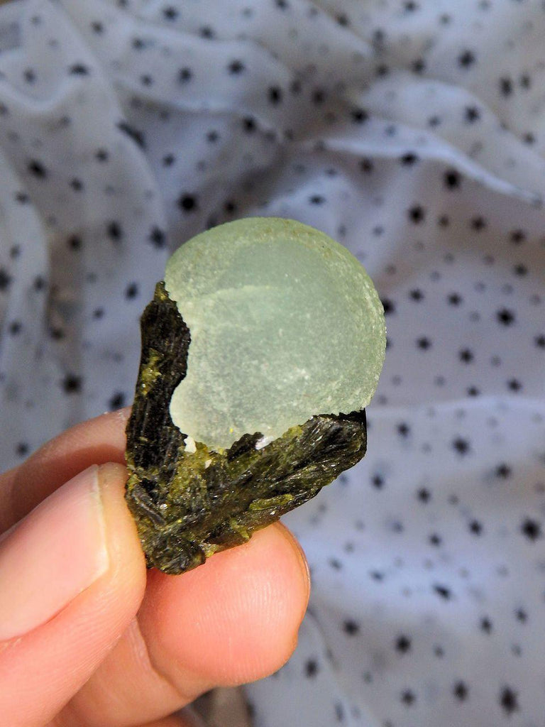 Adorable Spring Green Prehnite Ball on Deep Green Epidote Matrix - Earth Family Crystals