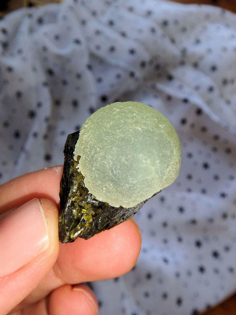 Adorable Spring Green Prehnite Ball on Deep Green Epidote Matrix - Earth Family Crystals