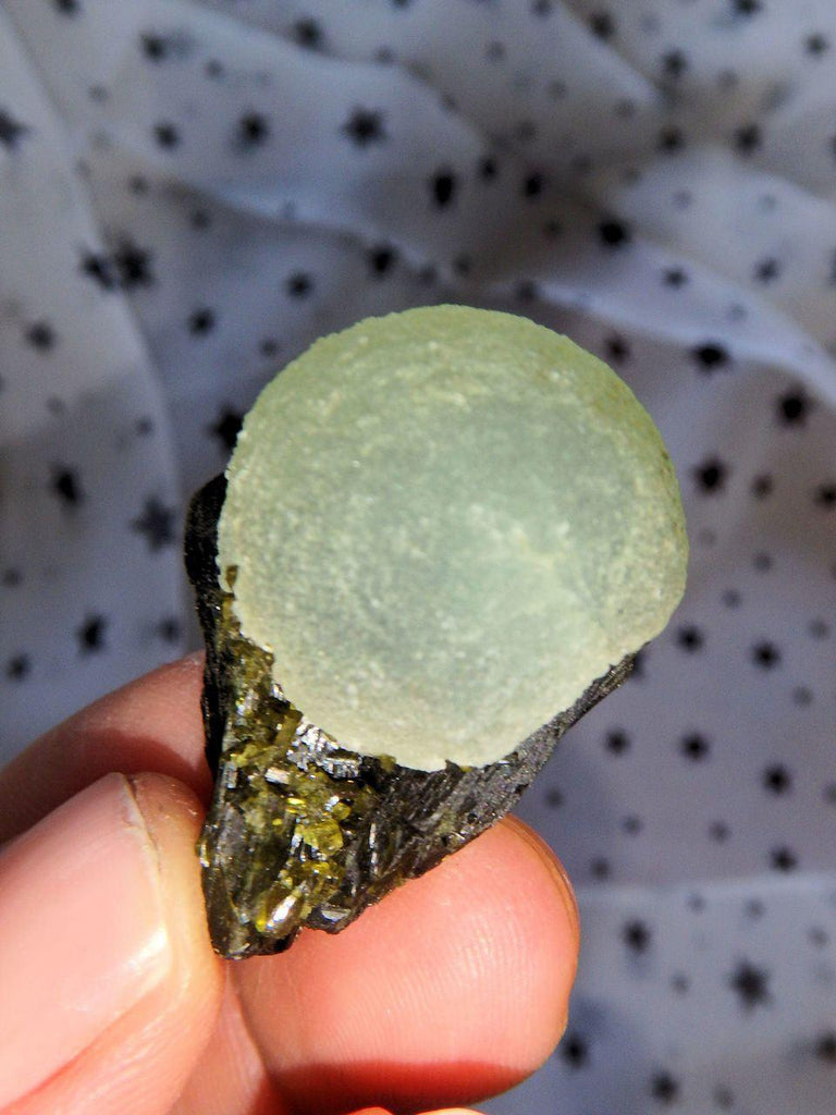 Adorable Spring Green Prehnite Ball on Deep Green Epidote Matrix - Earth Family Crystals