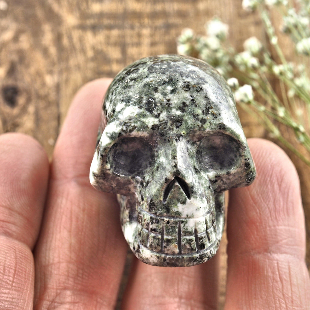 Ancient Preseli Bluestone Skull Carving From Wales, UK #2 - Earth Family Crystals