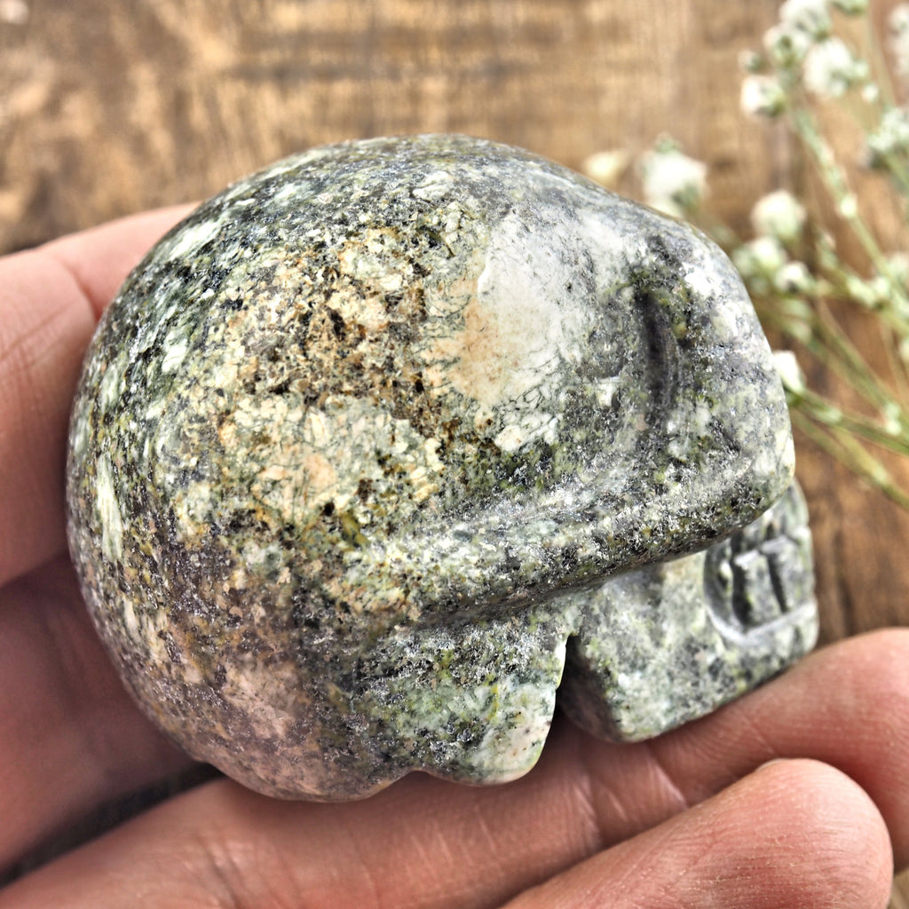 Ancient Preseli Bluestone Skull Carving From Wales, UK #1 - Earth Family Crystals