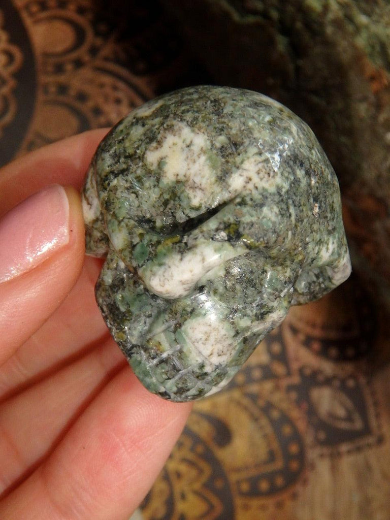 Forest Green Preseli Bluestone Skull Carving - Earth Family Crystals