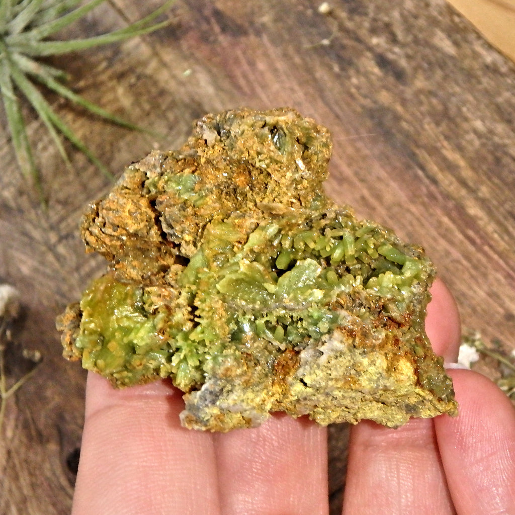 Natural Green Caves & Druzy Pyromorphite Specimen - Earth Family Crystals