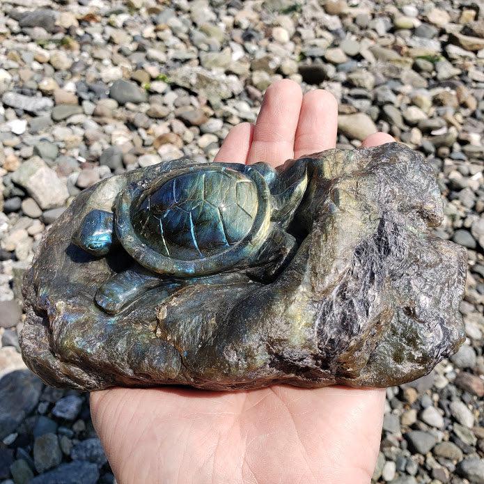 Incredible XL Turtle Carved in Labradorite Partially Polished Display Specimen - Earth Family Crystals