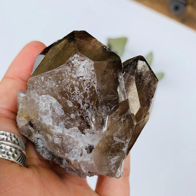 Healing Rutilated Smoky Quartz Multi Point Cluster From Brazil9 - Earth Family Crystals