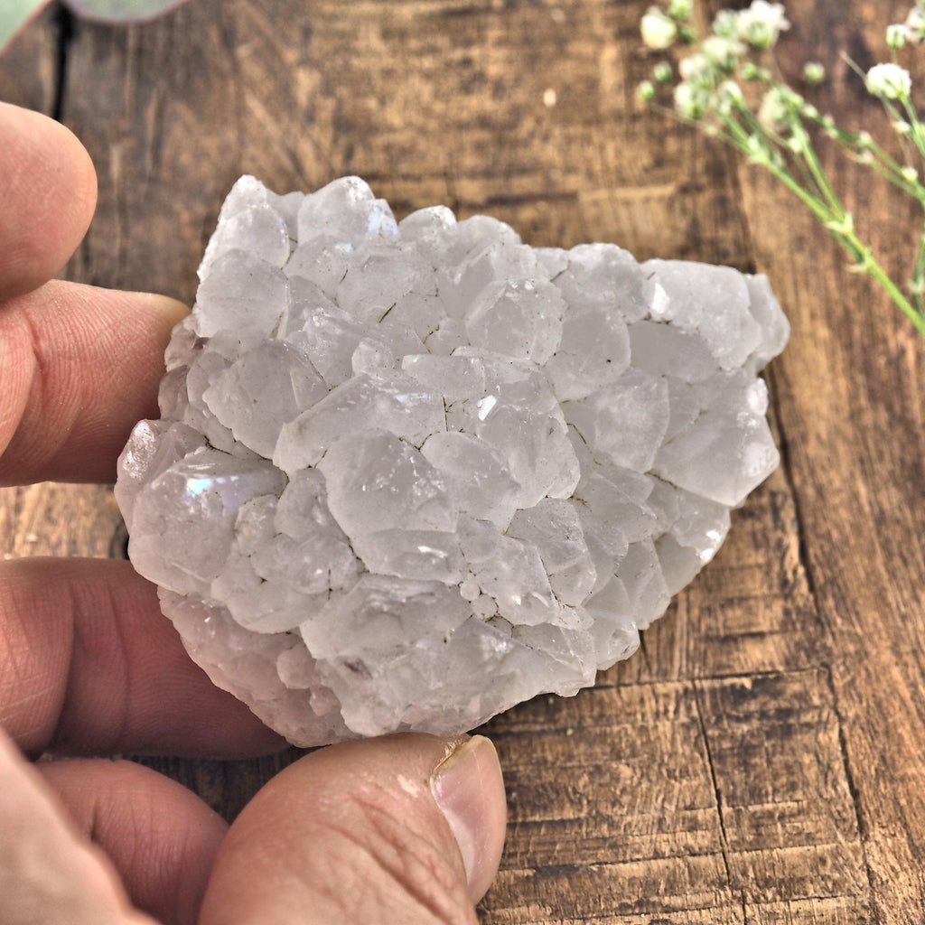 Milky Quartz Cluster From India8 - Earth Family Crystals