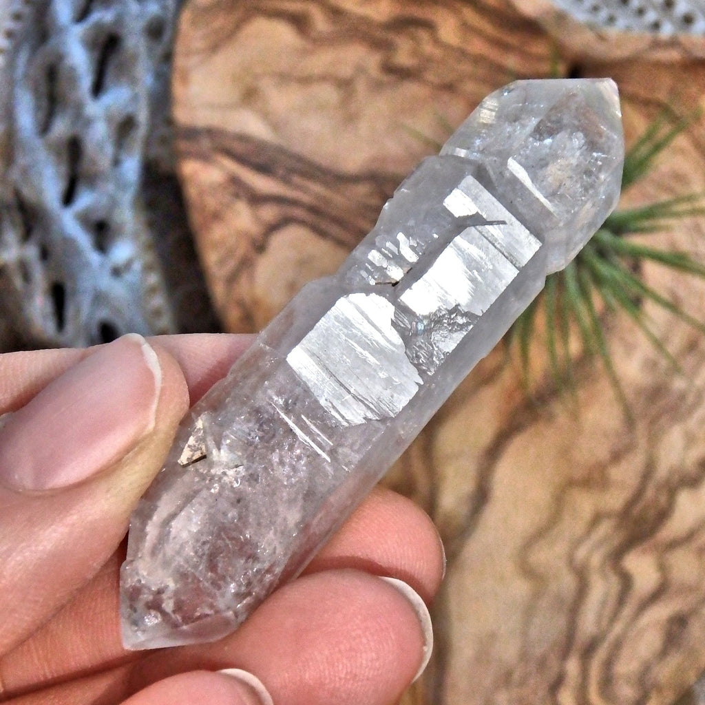 Brilliant Sceptre DT Tibetan Quartz Manifestation Point - Earth Family Crystals