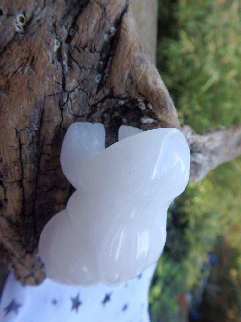 Creamy White Quartz Frog Carving Specimen - Earth Family Crystals