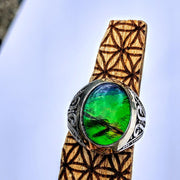High Grade Quartz Capped Alberta Ammolite Ring in Sterling Silver (Size 11) - Earth Family Crystals