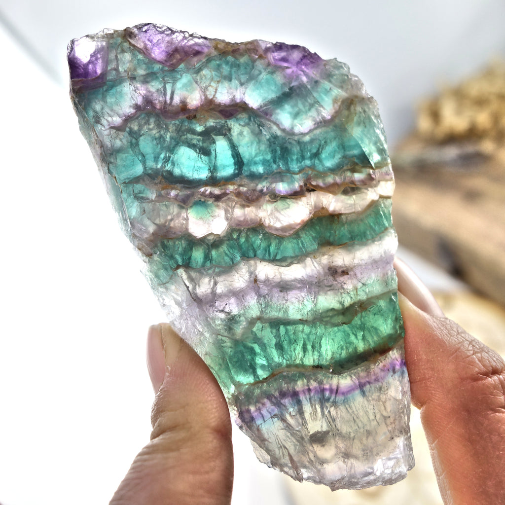 Layers of Beauty Rainbow Fluorite Partially Polished Slice - Earth Family Crystals