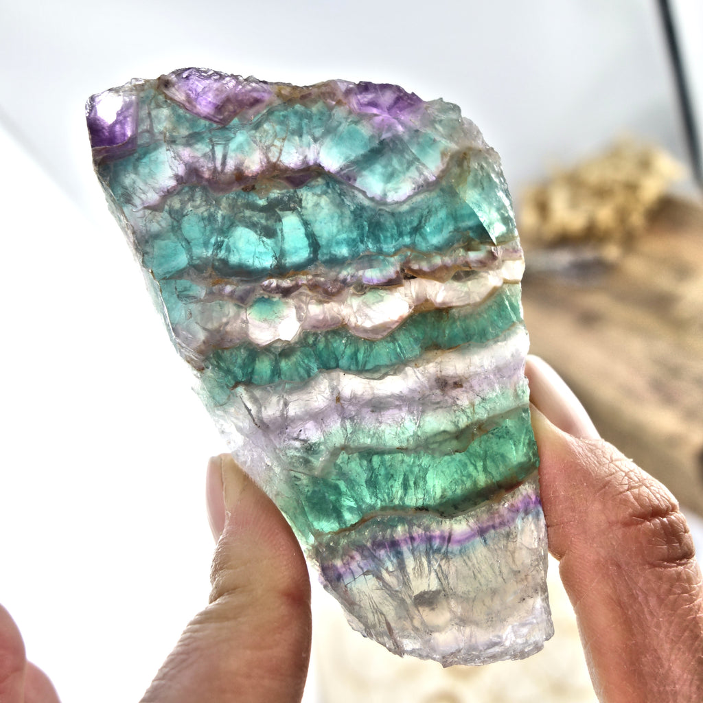 Layers of Beauty Rainbow Fluorite Partially Polished Slice - Earth Family Crystals
