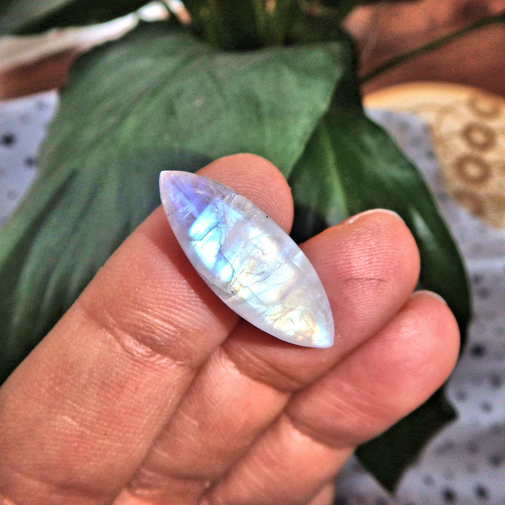 Cute Dainty Rainbow Moonstone Cabochon-Ideal for Crafting - Earth Family Crystals