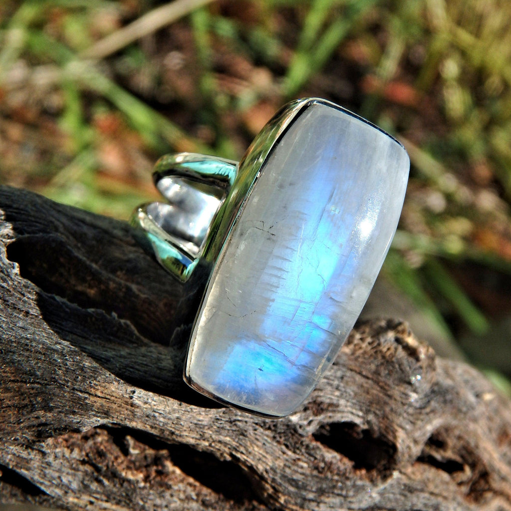 Mystical Blue Flashes Rainbow Moonstone Ring in Sterling Silver (Size 6) - Earth Family Crystals
