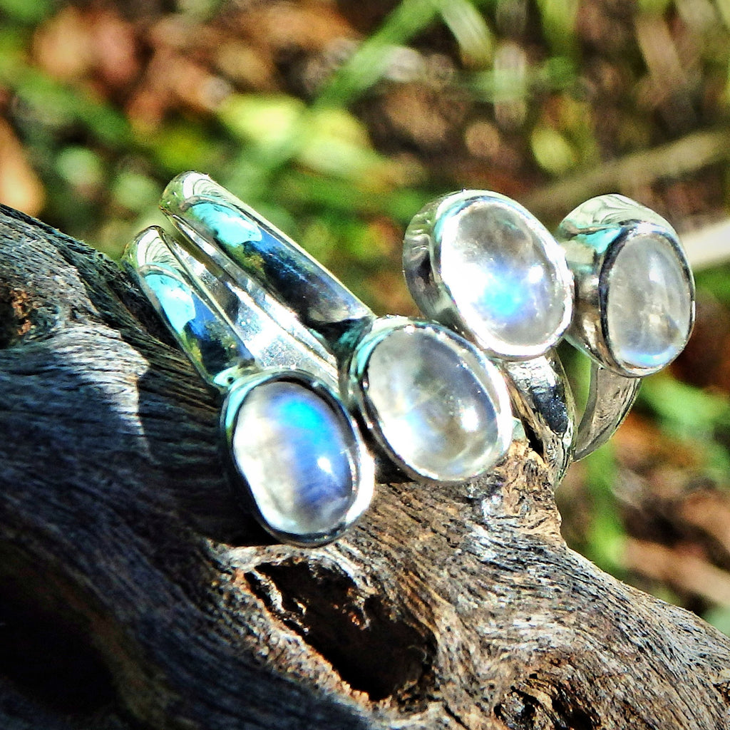 Blue Flashes 4 Stone Rainbow Moonstone Ring in Sterling Silver ( Adjustable Size 6.5-8) - Earth Family Crystals