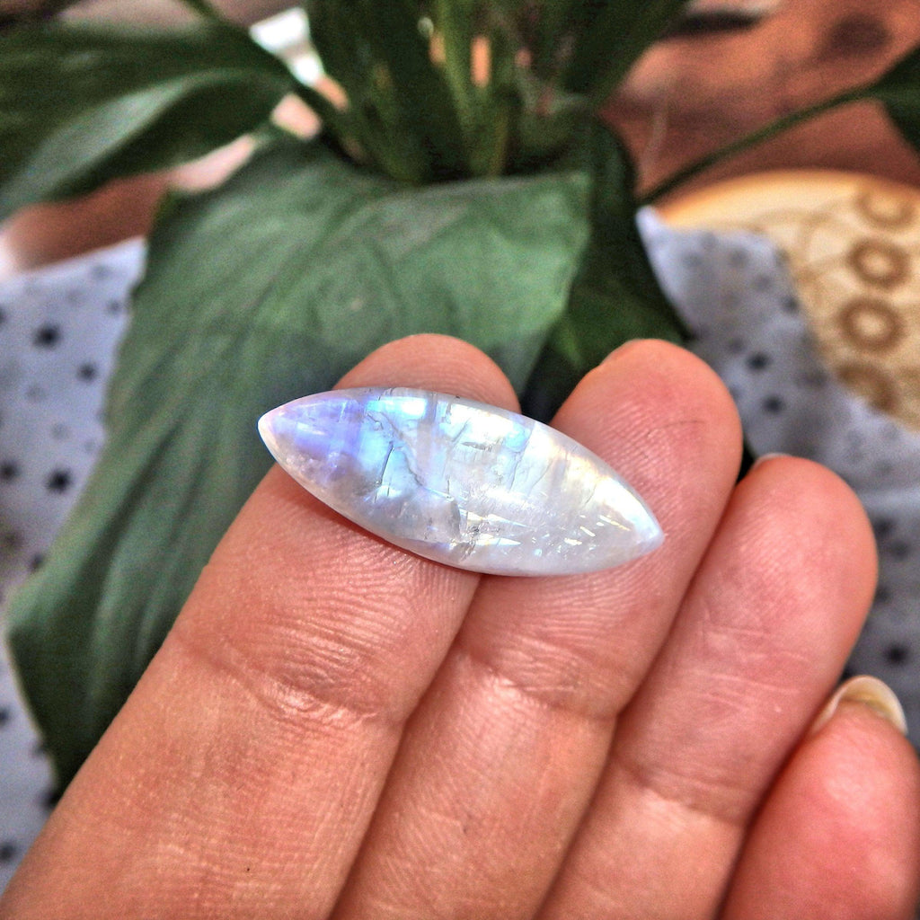 Cute Dainty Rainbow Moonstone Cabochon-Ideal for Crafting - Earth Family Crystals