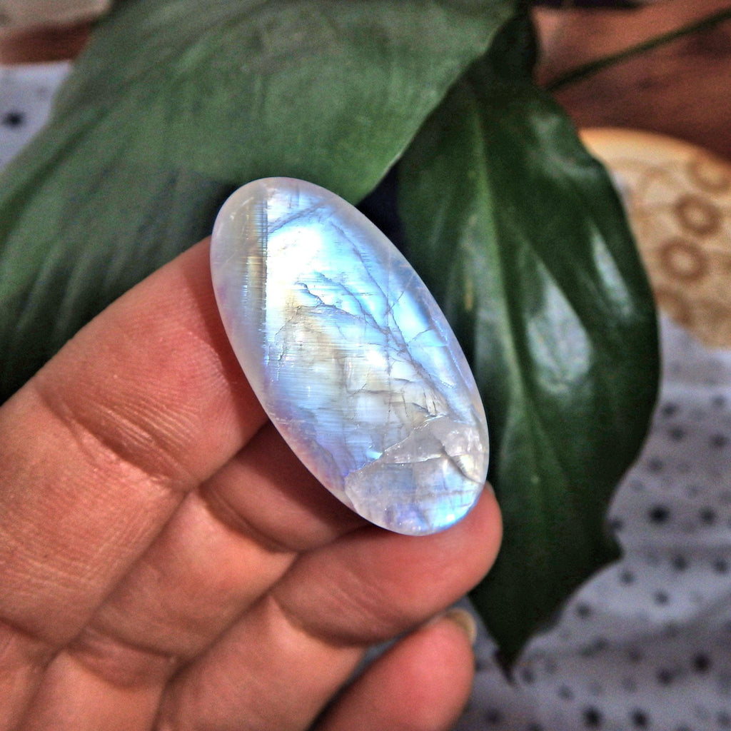 Blue & Golden Rainbow Moonstone Cabochon-Perfect for Crafting - Earth Family Crystals