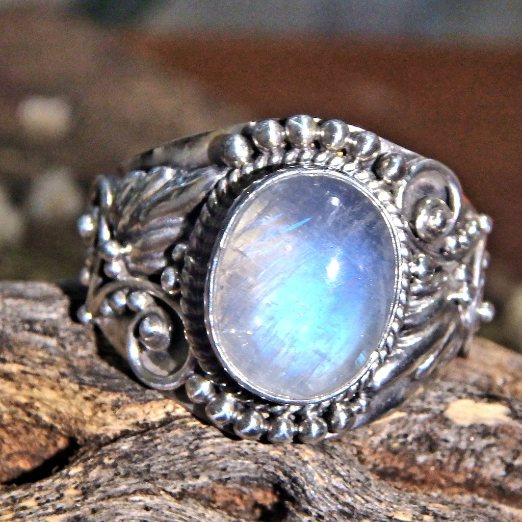 Elegant Design Blue Flashes Rainbow Moonstone Ring in Sterling Silver (Size 8) - Earth Family Crystals