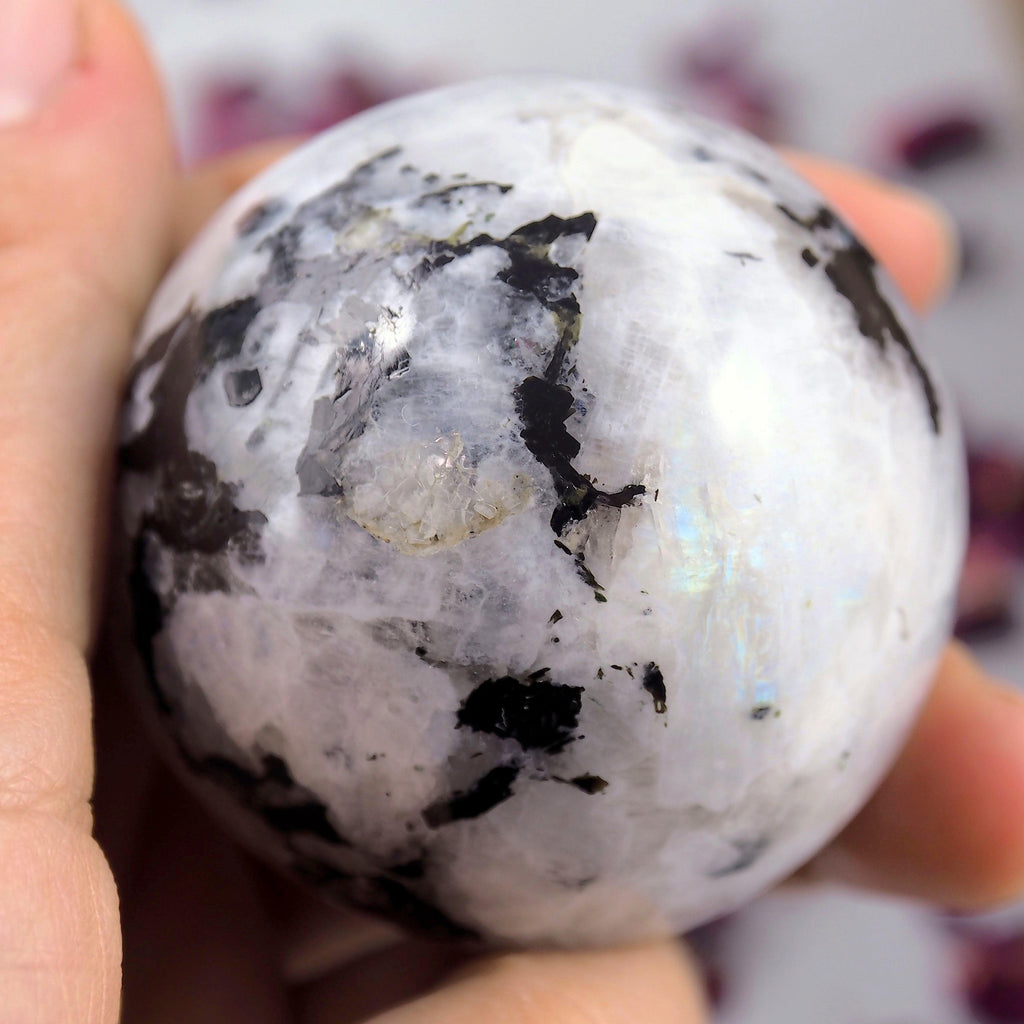 Black Tourmaline Galore & Rainbow Moonstone Medium Sphere Carving - Earth Family Crystals