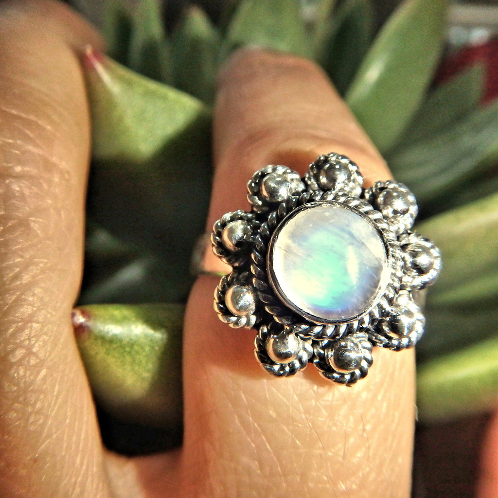Royal Blue Flower Rainbow Moonstone Ring in Sterling Silver (Size 9) - Earth Family Crystals
