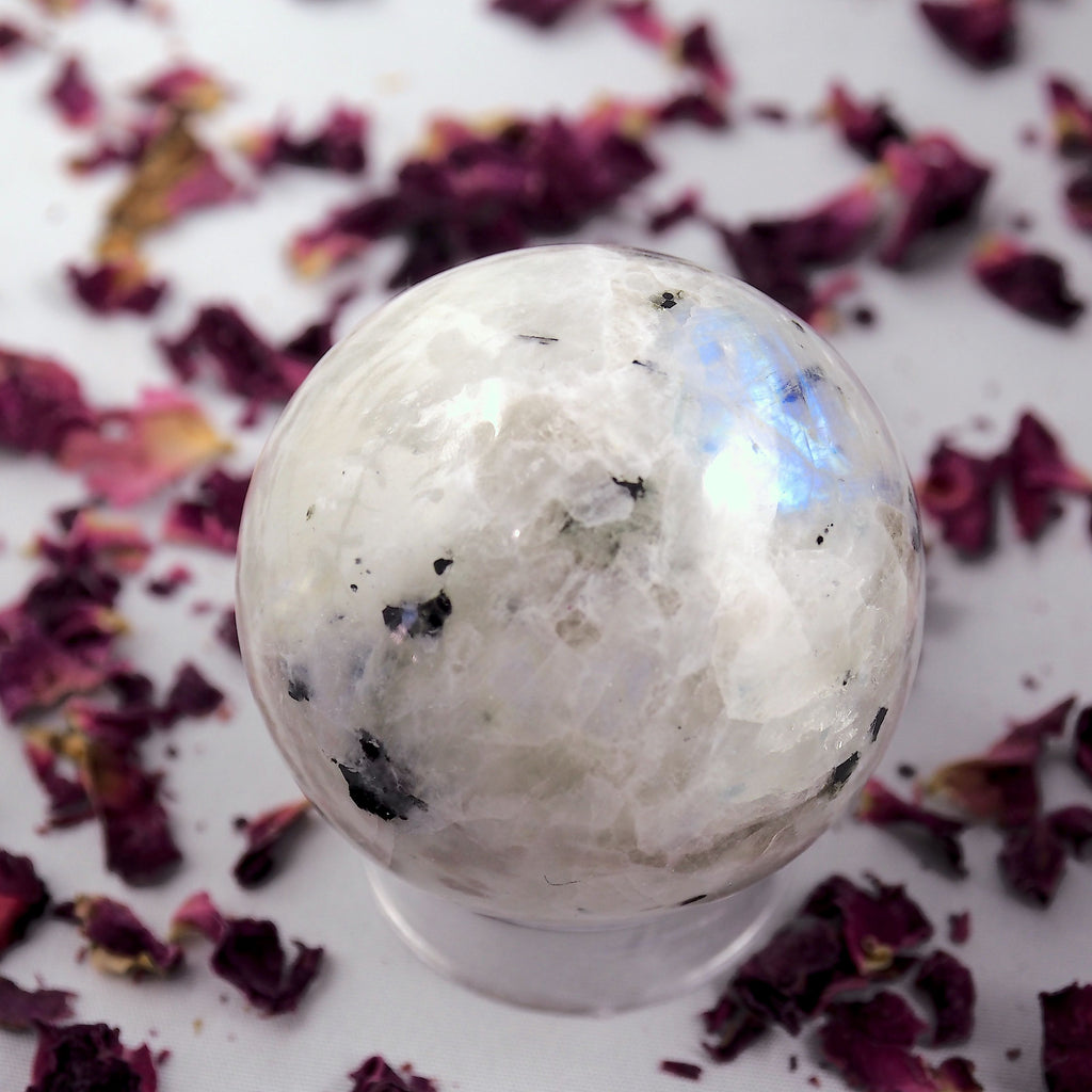 Enchanting Rainbow Moonstone & Black Tourmaline Medium Sphere Carving - Earth Family Crystals
