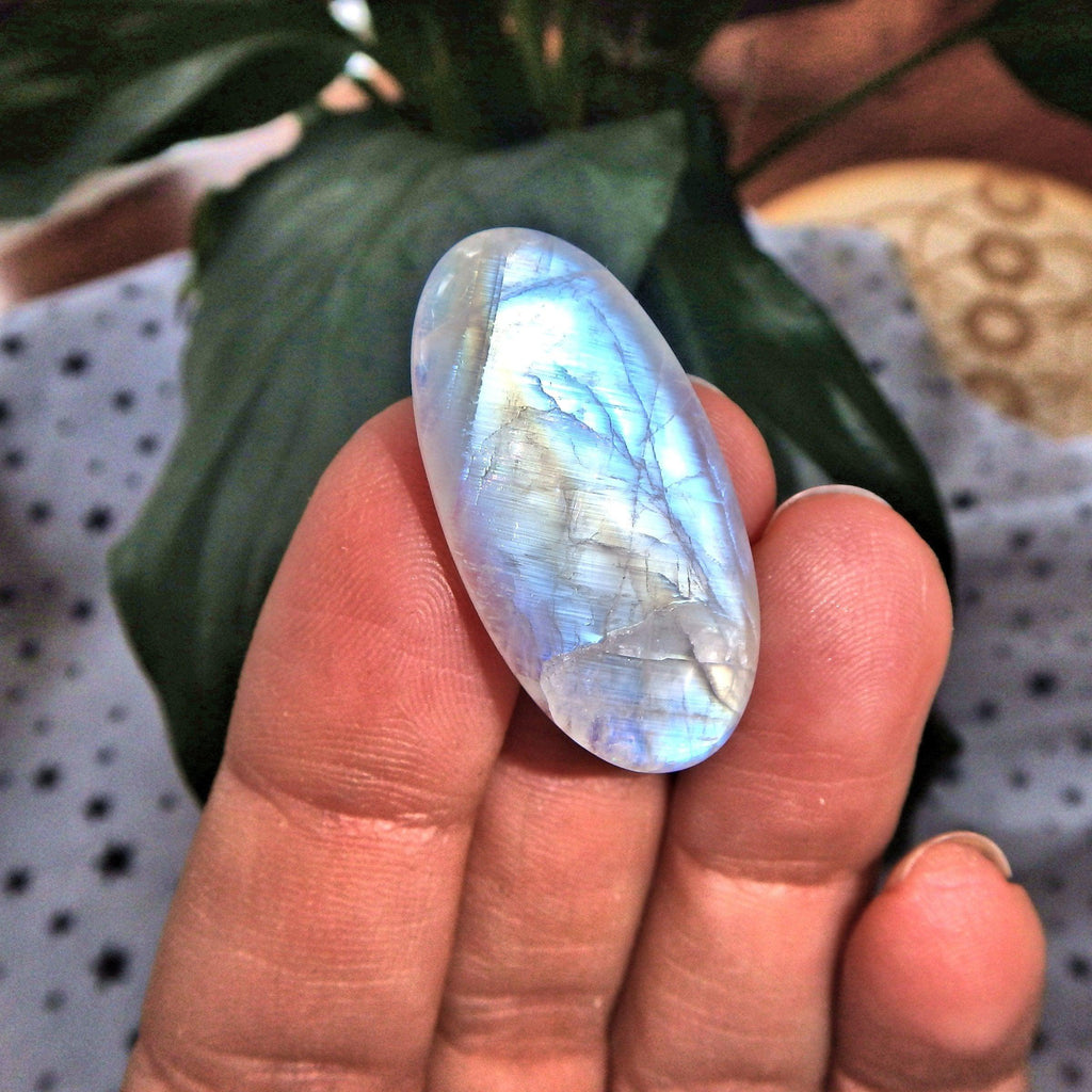 Blue & Golden Rainbow Moonstone Cabochon-Perfect for Crafting - Earth Family Crystals