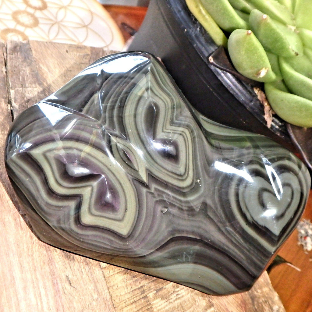 Magnificent XL Rainbow Obsidian Butterfly & Heart Display Specimen - Earth Family Crystals