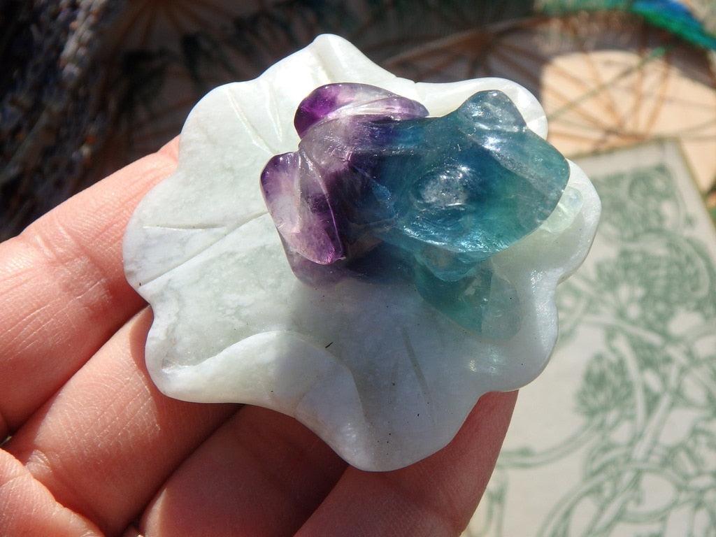 Precious Ranibow Fluorite Frog on Mint Green Jade Lily Pad 2 - Earth Family Crystals