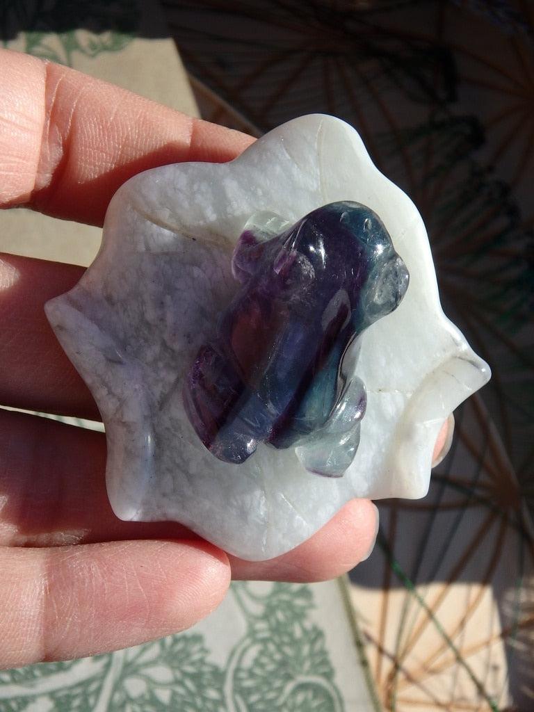 Precious Ranibow Fluorite Frog on Mint Green Jade Lily Pad 1 - Earth Family Crystals