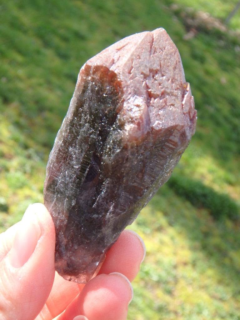 Fabulous Red Amethyst Natural Point From Brazil  1 - Earth Family Crystals