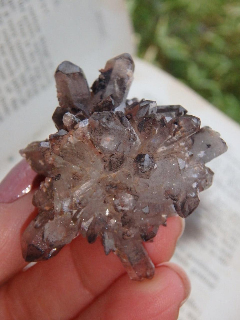 Hedgehog Cluster Orange River Quartz Specimen - Earth Family Crystals